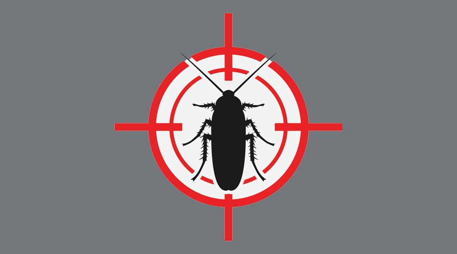 Pest prevention