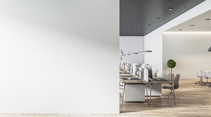 Blank light grey wall in sunny open space office with wooden floor and eco style furniture