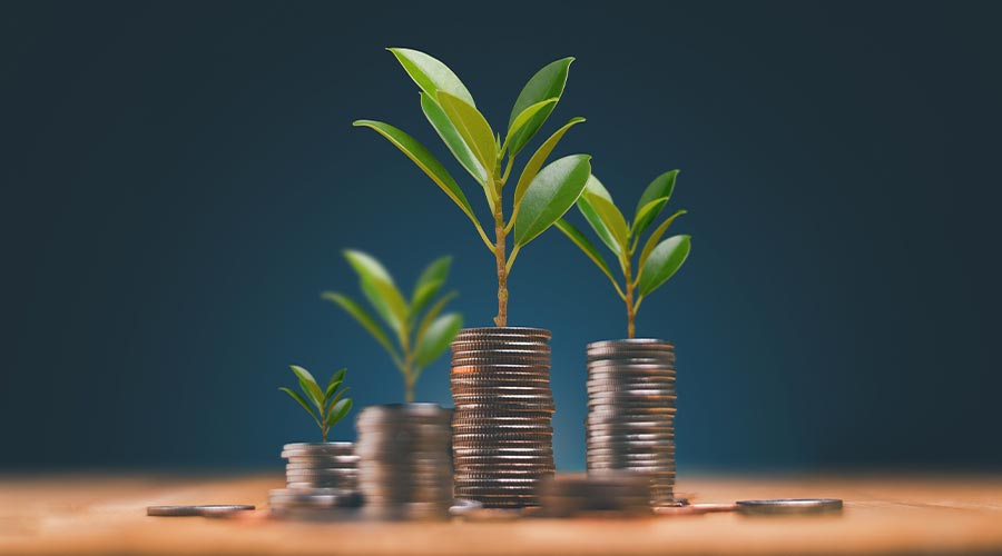 Economic growth, saving money and business ideas concept, The trees is growing on the pile of coins on wooden table, Financial or money growing.
