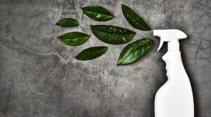 Empty white bottle mockup for cleaning. Eco spray bottle for safe cleaning with green leaves on concrete background. Copy space, flat lay. Creative composition.