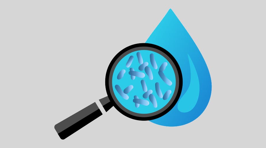 Water drop with magnifier and bacterium legionella. Symbol of legionella water test. Icon of legionnaire disease. vector illustration eps10