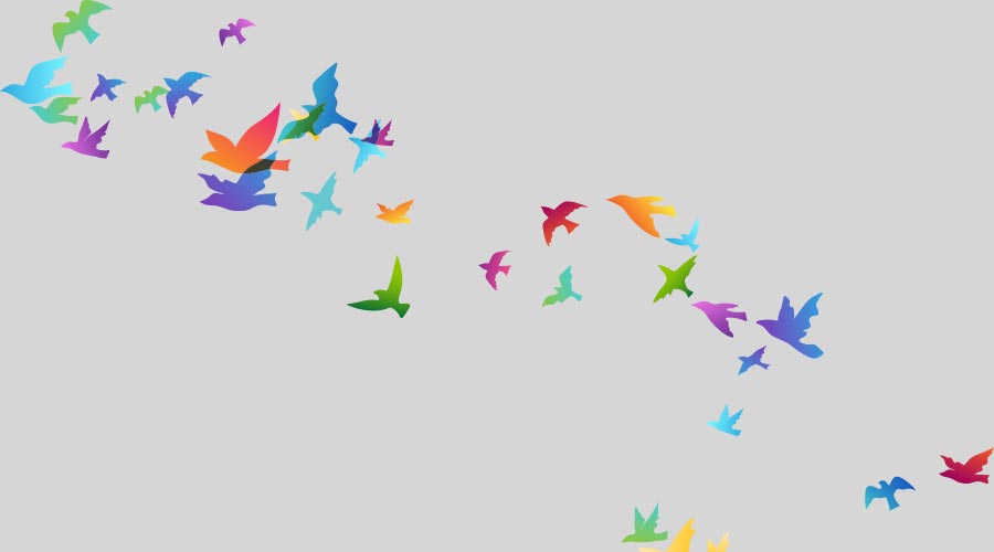 Flying rainbow birds. Decoration element from scattered colorful silhouettes