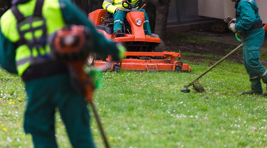 Three landscapers in uniform mowing and cleaning a green grass area with lawn equipment, focusing on maintenance and greenery
