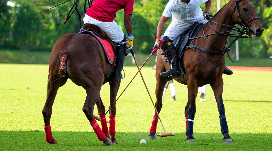 Kuala Lumpur, Malaysia, 21-May-2022 : Polo player is using polo mallet hit polo balls during the match.