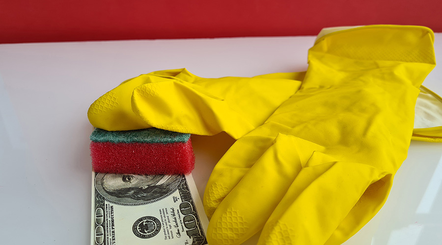 Cleaning services gloves washcloths cash. Payment and earnings on cleaning offices and apartments concept