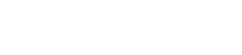 CleanLink